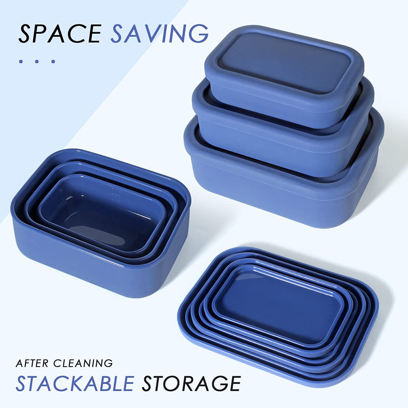 Leak-Resistant Bento Lunch Box - огляд і ціна Meal Prep Ideas